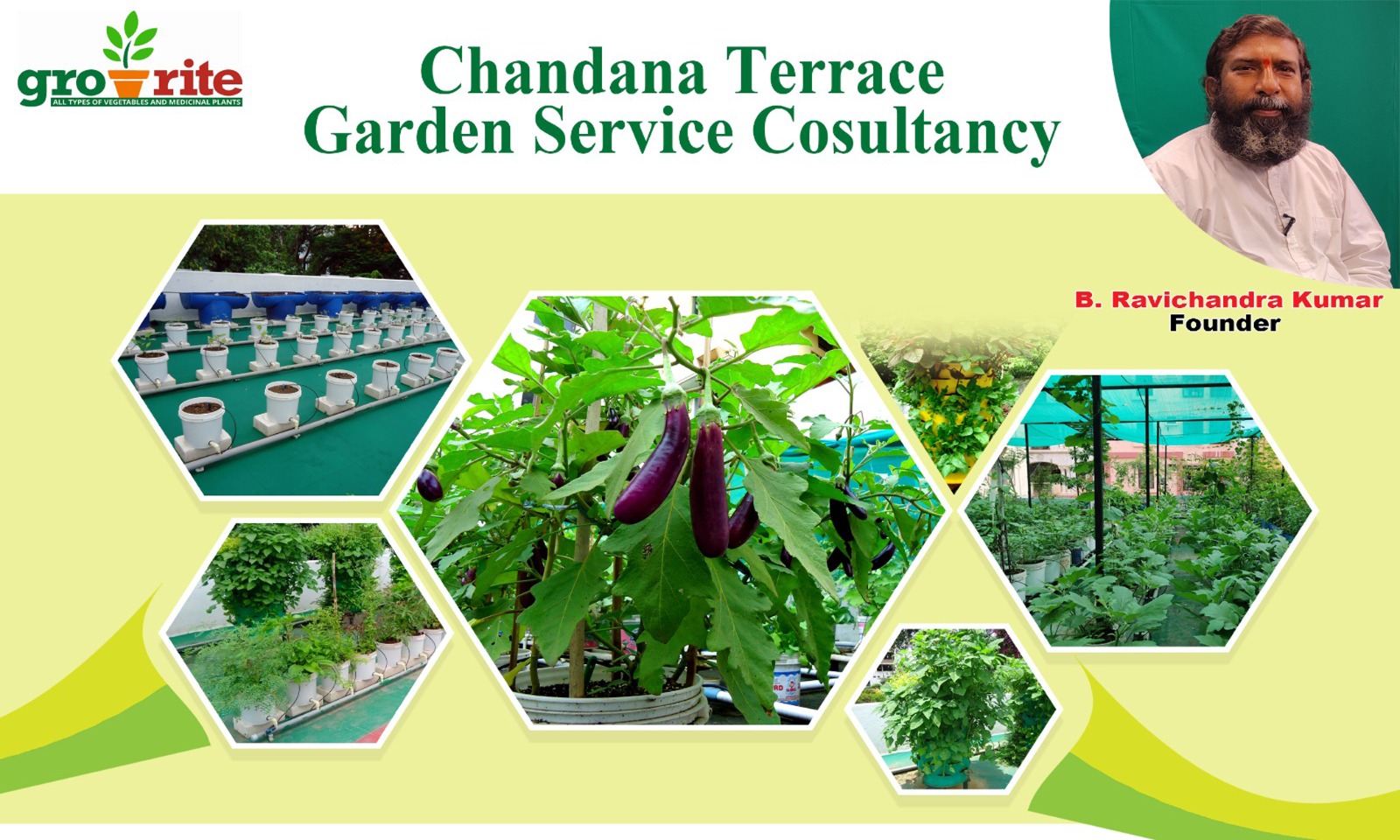 Rooftop garden 1
